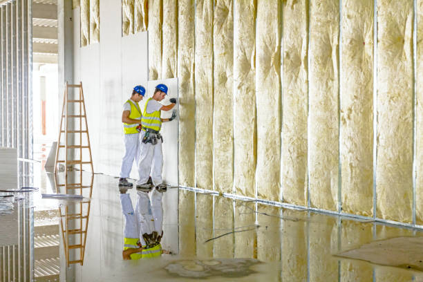 Best Radiant Barrier Insulation  in Mino Tassajara, CA